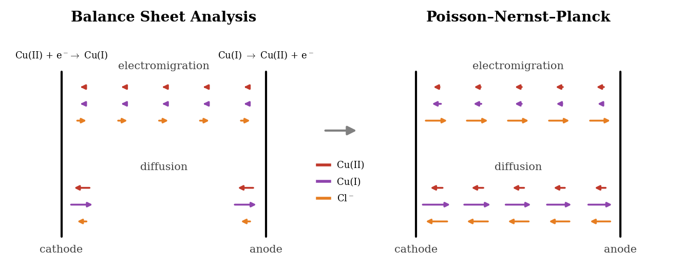 Balance sheet analysis versus Poisson-Nernst-Planck: graphical abstract